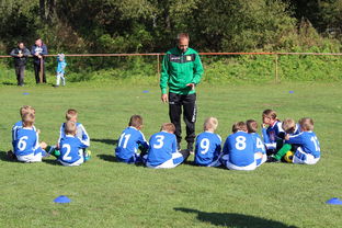 米兰体育网页版(官方}-国足对不同战术体系适应能力评估，国足体能与技术分析